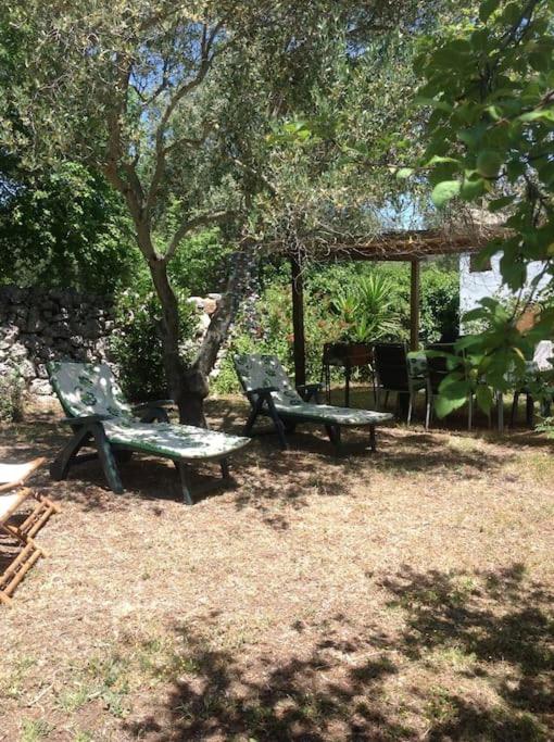 trullo primitivo - Casa con 3 Camere da Letto - 42