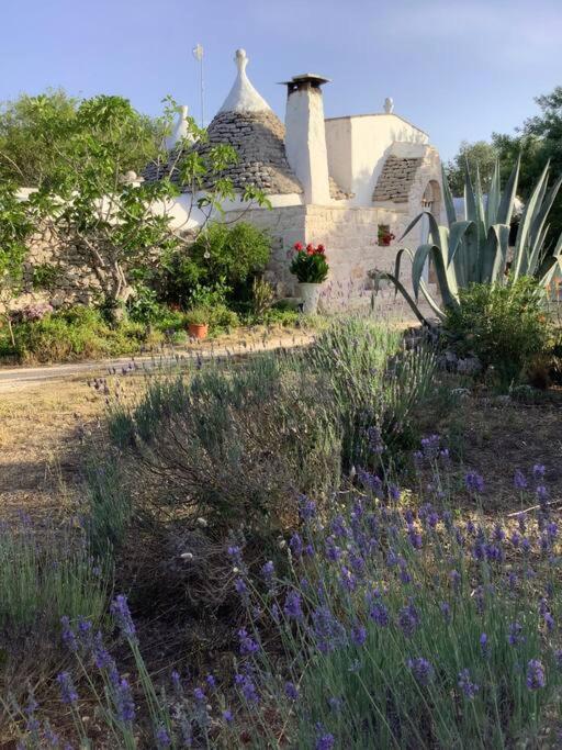 trullo primitivo - Casa con 3 Camere da Letto - 57