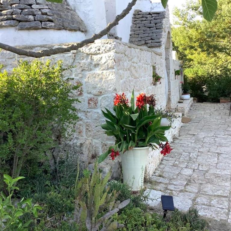 trullo primitivo - Casa con 3 Camere da Letto - 60