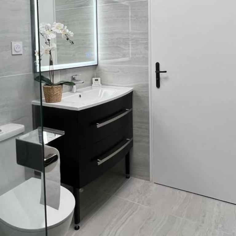 Magnificient Parisian Flat - Parisian heart - Appartement 2 Chambres - 32