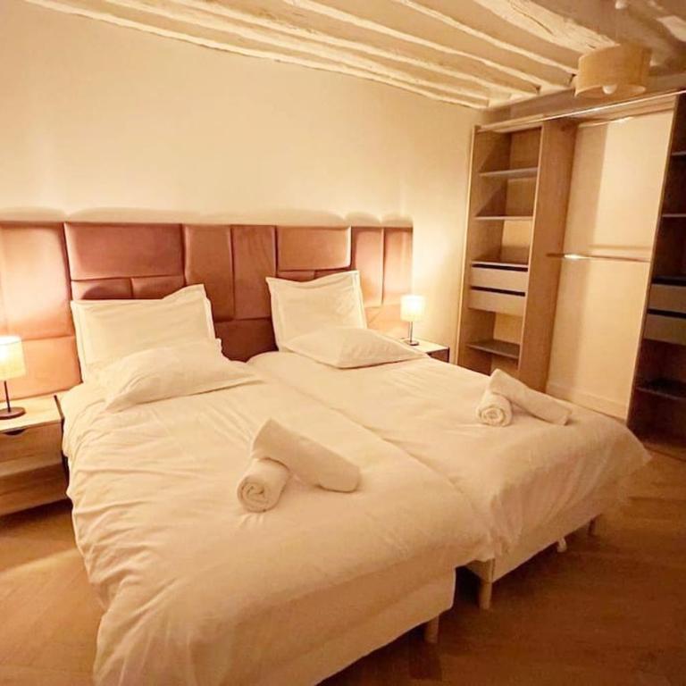 Magnificient Parisian Flat - Parisian heart - Appartement 2 Chambres - 12