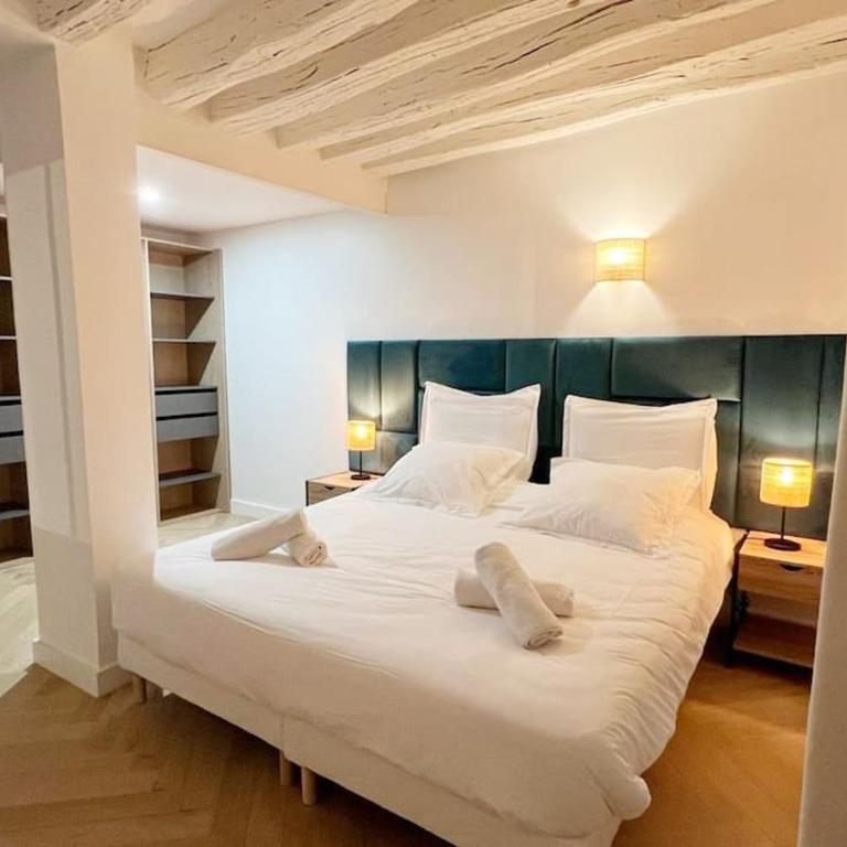 Magnificient Parisian Flat - Parisian heart - Appartement 2 Chambres - 3