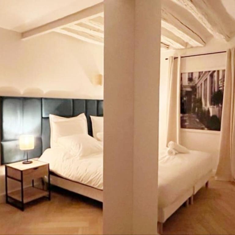 Magnificient Parisian Flat - Parisian heart - Appartement 2 Chambres - 6