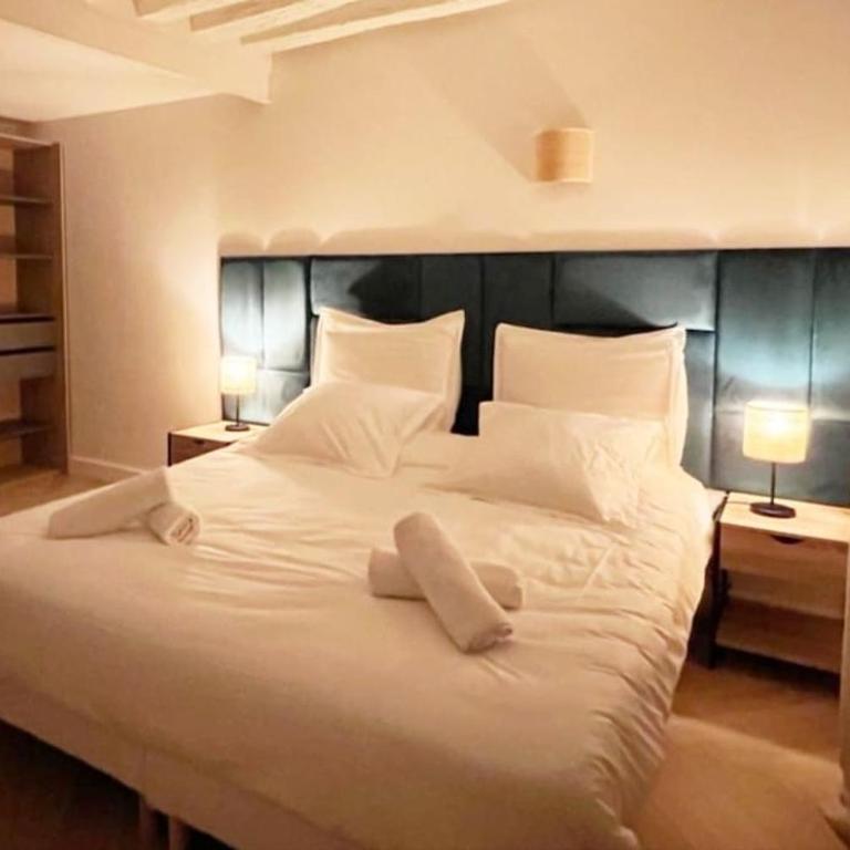 Magnificient Parisian Flat - Parisian heart - Appartement 2 Chambres - 7
