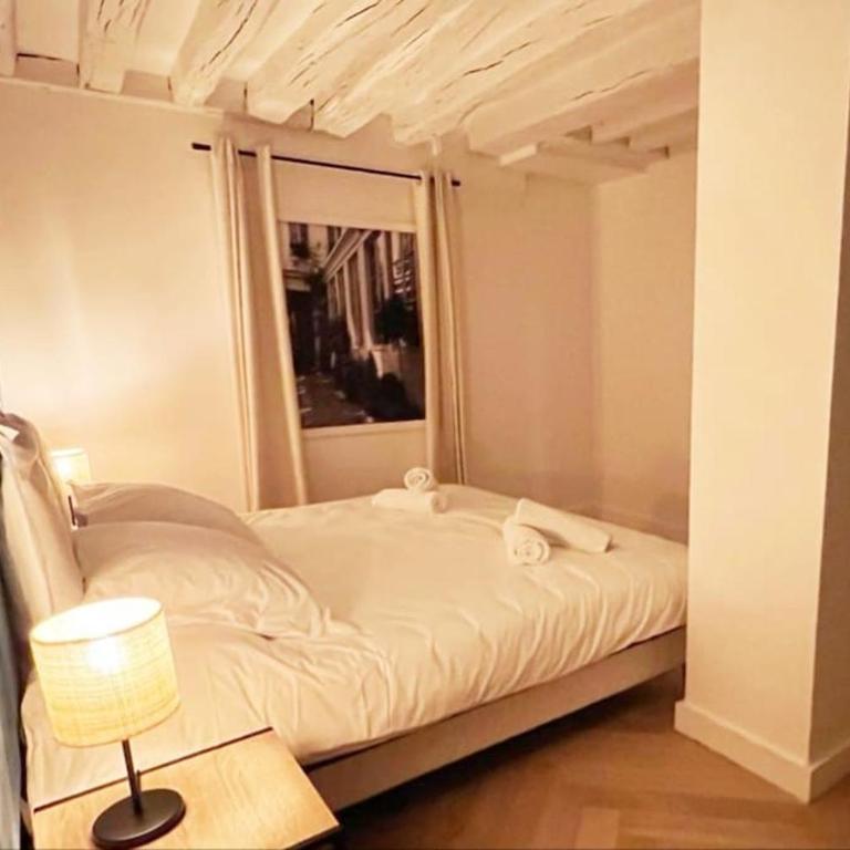 Magnificient Parisian Flat - Parisian heart - Appartement 2 Chambres - 8