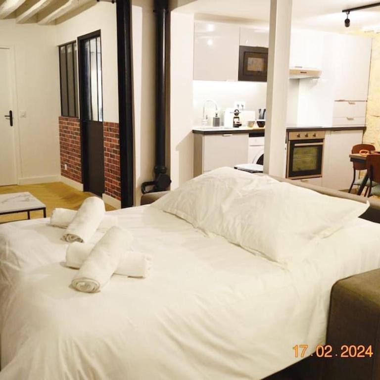 Magnificient Parisian Flat - Parisian heart - Appartement 2 Chambres - 30