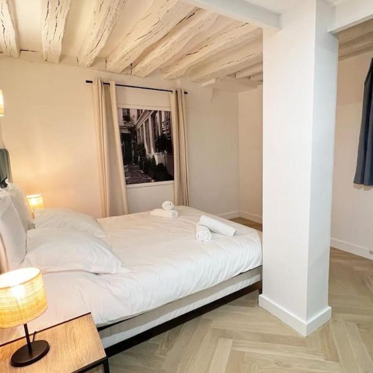 Magnificient Parisian Flat - Parisian heart - Appartement 2 Chambres - 4