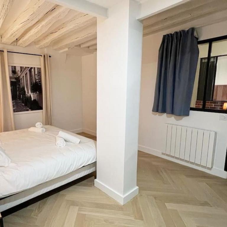 Magnificient Parisian Flat - Parisian heart - Appartement 2 Chambres - 5