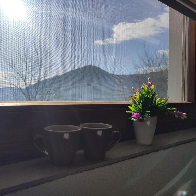 Positive vibes - Kuća sa 1 Spavaćom Sobom - 25