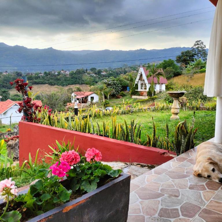 Finca la Lomita - Villa - 24