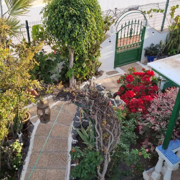 Apartamento Bungalows Isabel Maria - One-Bedroom Apartment - 13