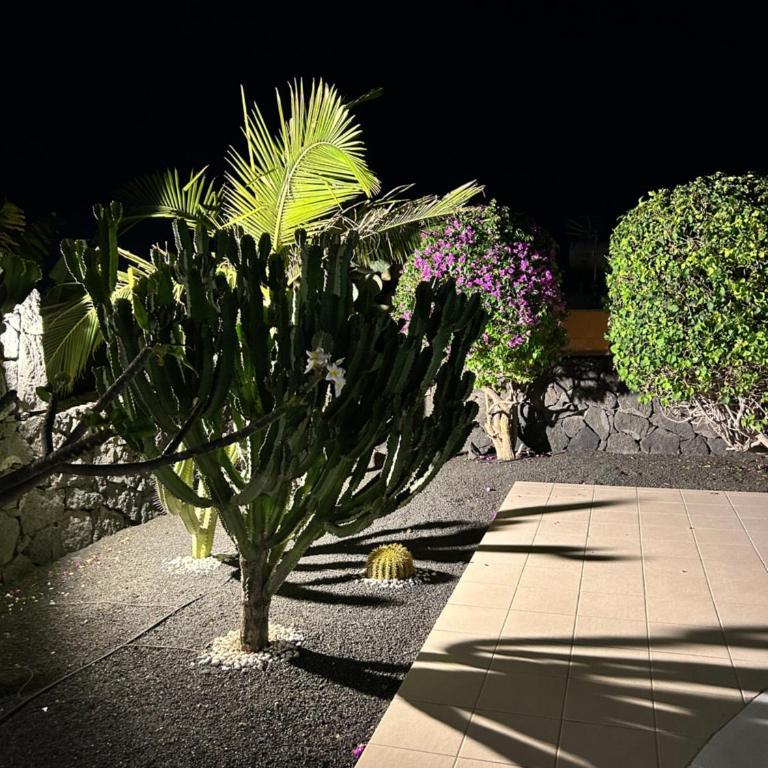 Villa Vista Verano - Vacation Home - 14