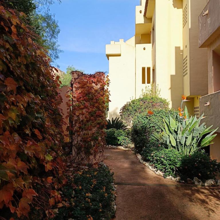 Duquesa Village Cozy Apartment Golf & Beach (Manilva - Malaga) - Apartamento de 2 dormitorios - 35