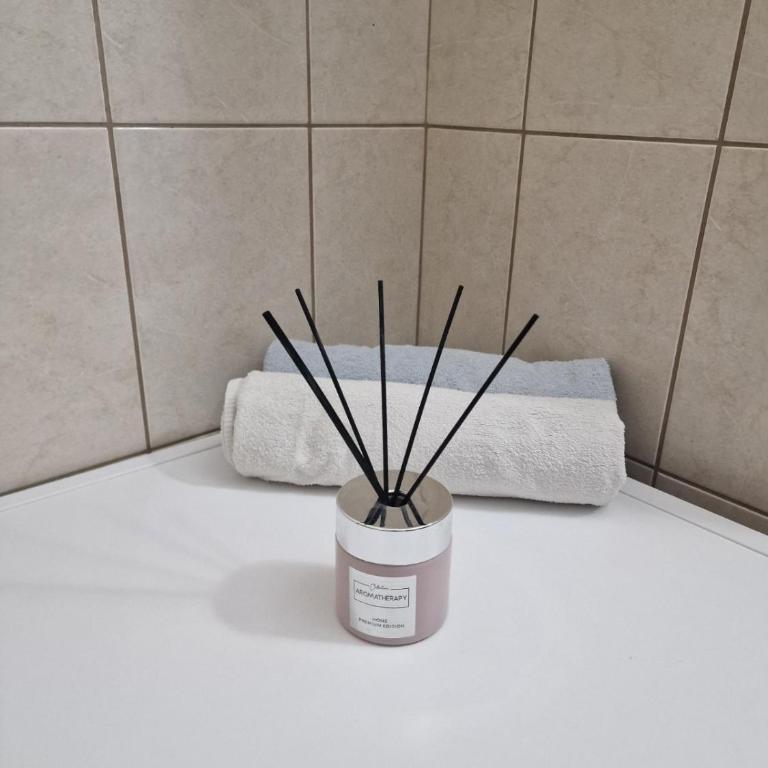 Apartmani Bečko - Apartman sa 2 Spavaće Sobe - 20