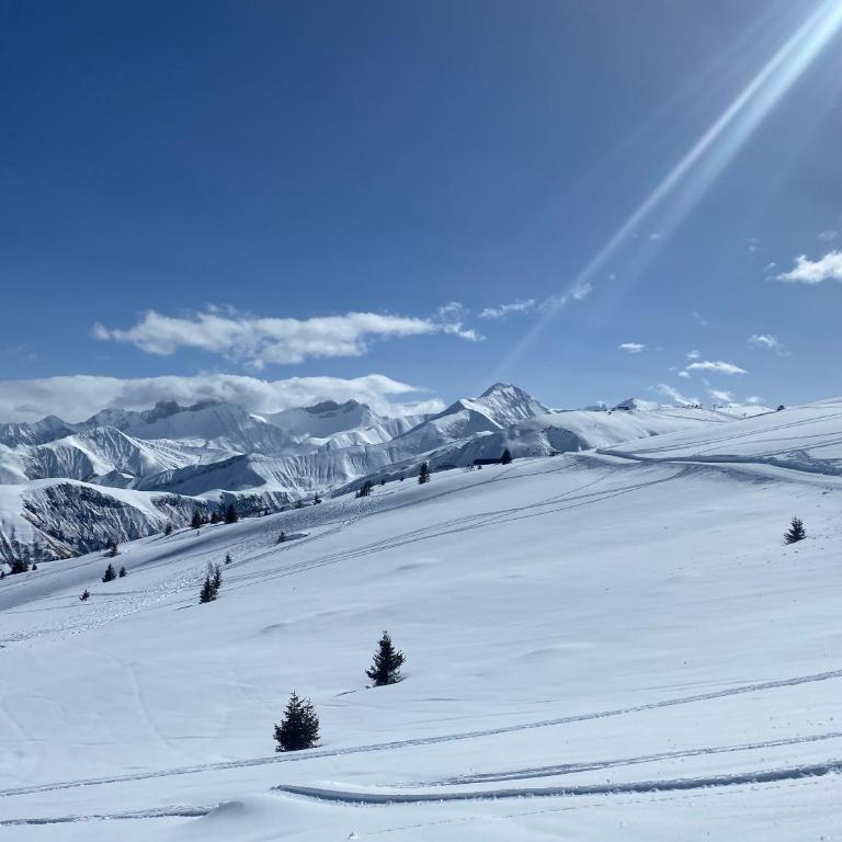 vue splendide montagnes centre village pieds des pistes et remontées Mécaniques - Appartement 1 Chambre - 39