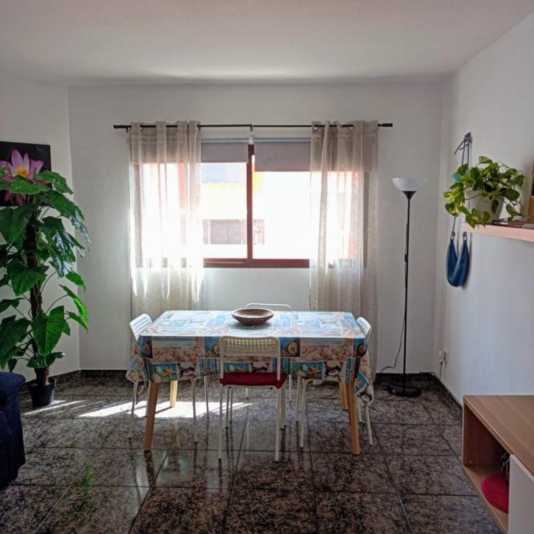 CASA LEO - Apartamento de 2 dormitorios - 1