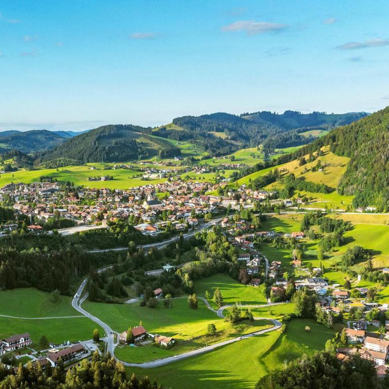 Allgäu Luxury Apartment Berglöwe mit Sauna - Apartment mit 1 Schlafzimmer - 27