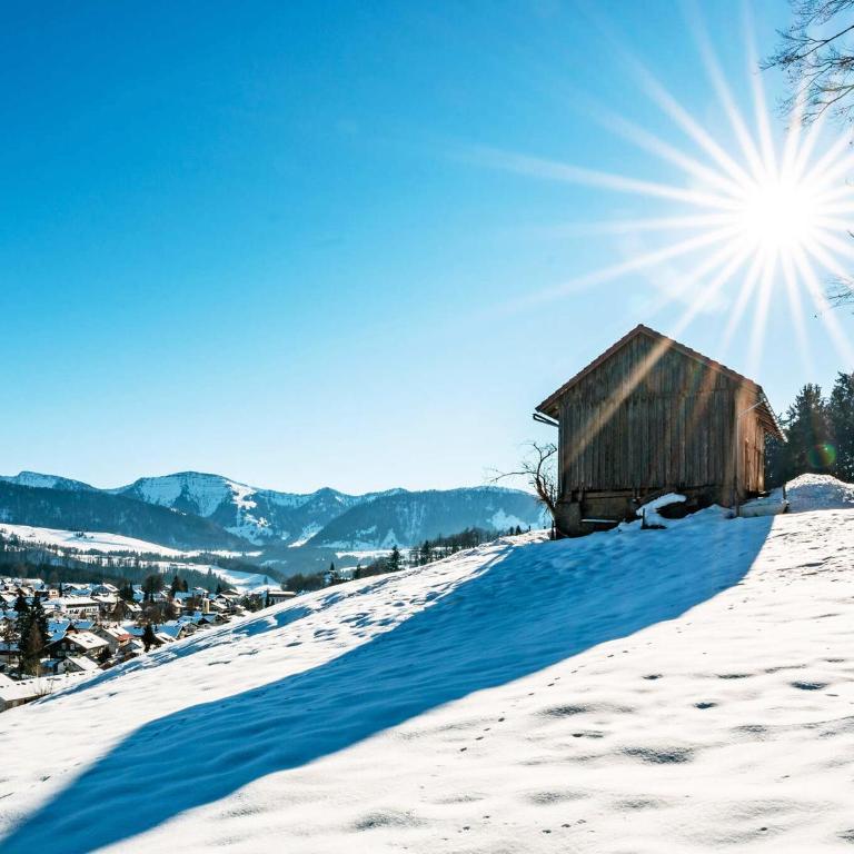 Allgäu Luxury Apartment Berglöwe mit Sauna - Apartment mit 1 Schlafzimmer - 38