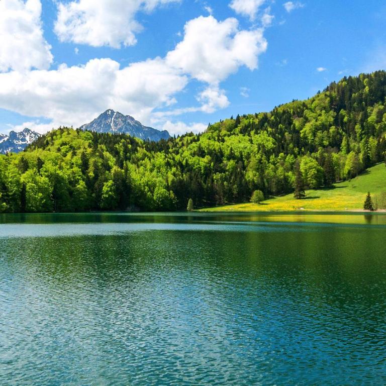Allgäu Luxury Apartment Berglöwe mit Sauna - Apartment mit 1 Schlafzimmer - 32