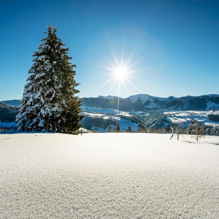 Allgäu Luxury Apartment Berglöwe mit Sauna - Apartment mit 1 Schlafzimmer - 37