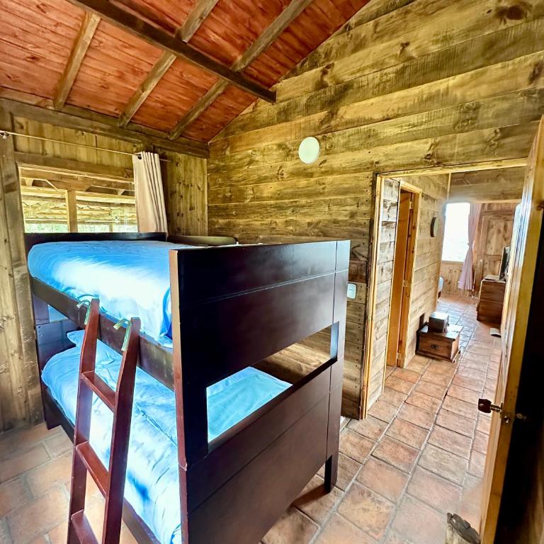 Refugio Aventura, hermosa cabaña y acogedores glampings en Tabio, cerca a Bogotá - Chalet de 2 dormitorios - 15