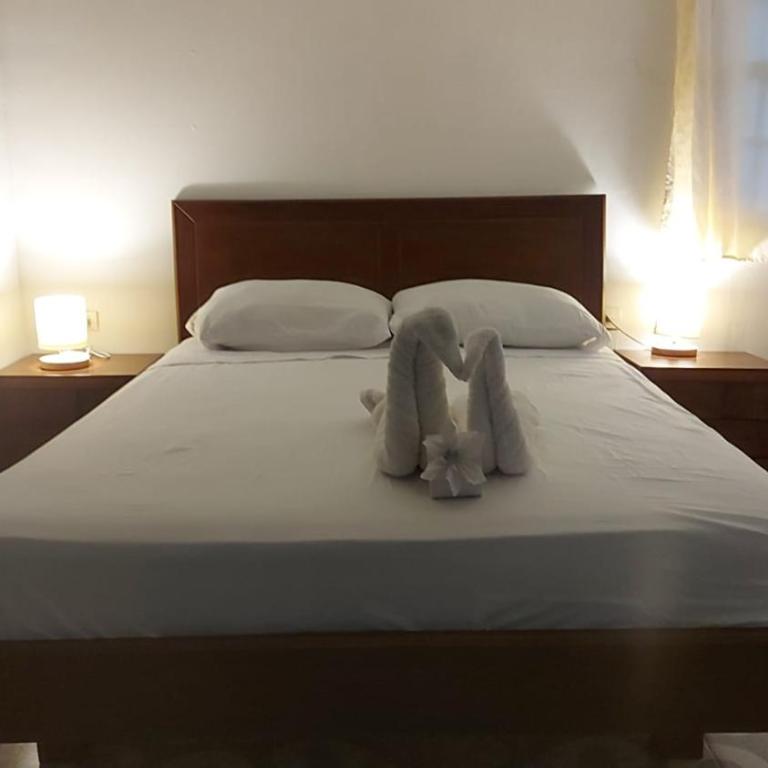 Miss Titi's Native Lodge 2 - Apartamento Deluxe - 6