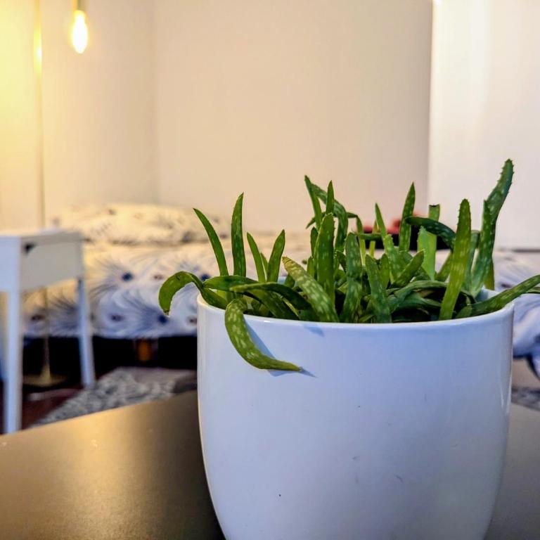 Chez les P'tits loups - Apartamento de 1 dormitorio - 18
