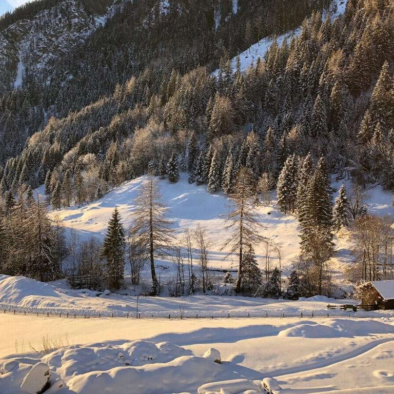 Grand Chalet - Monolocale King Deluxe - 14
