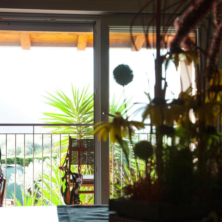 Porta del Garda - Apartamento de 1 dormitorio - 12
