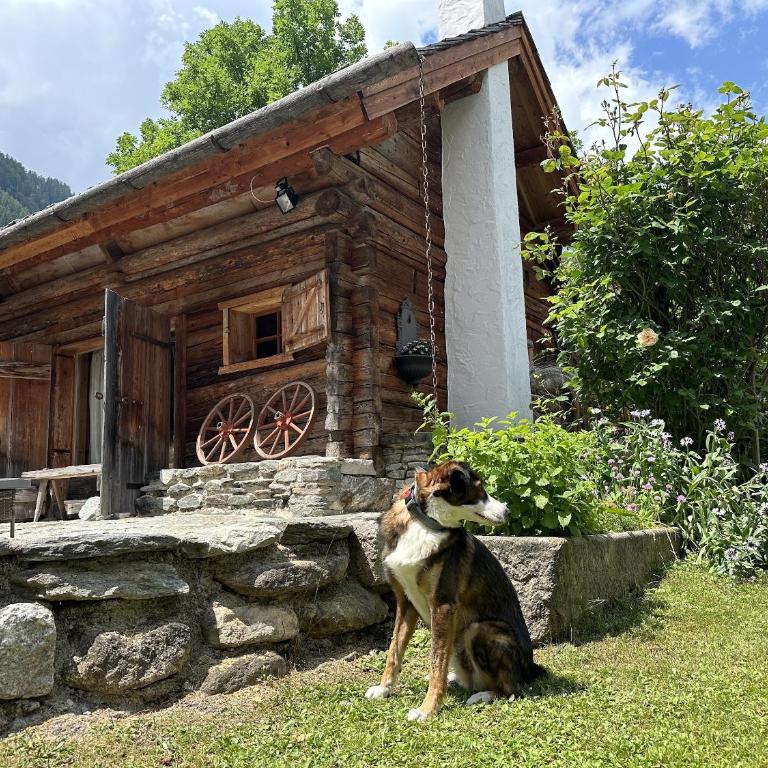 Romantikhütte - Chalet - 21