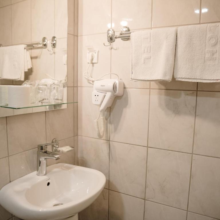 Hotel Slavija - Standardna Dvokrevetna Soba sa Bračnim Krevetom/Zasebnim Krevetima - 10