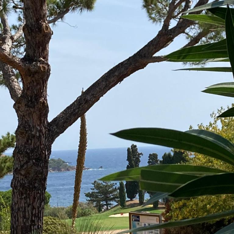CAP ESTEREL AGAY SAINT RAPHAEL VUE COEUR DU SITE PISCINE GOLF MER Studio 4 personnes chez Magali - Appartement 1 Chambre - 27