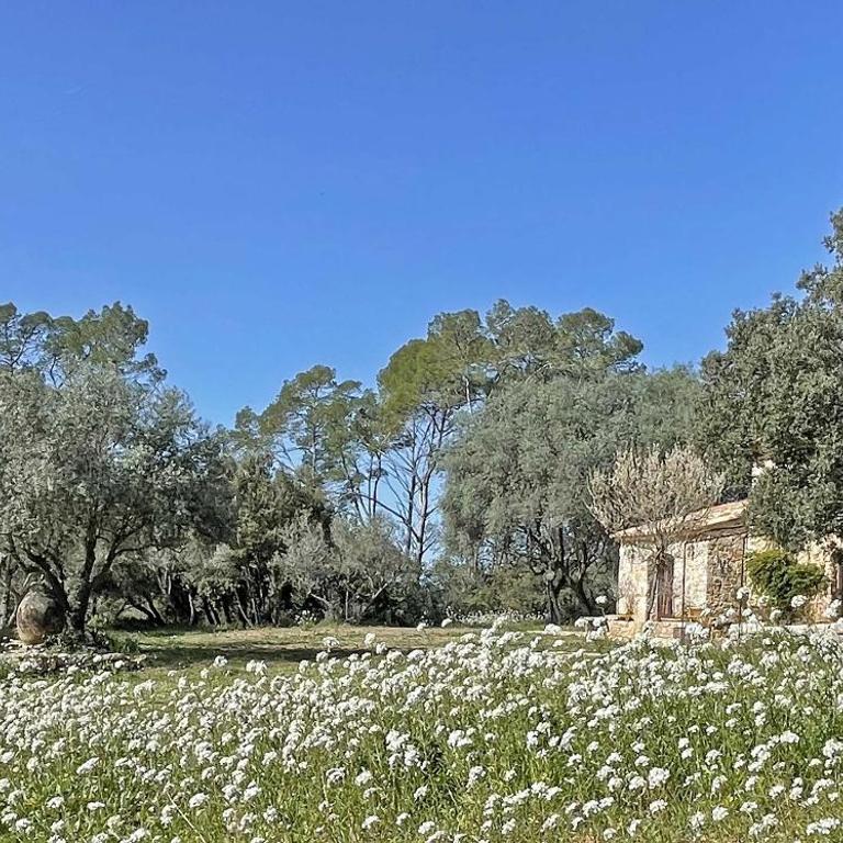 La Bergerie de Foneri - Véritable mas en pierre pour 6 pers avec piscine chauffée - Villa 3 Chambres - 3