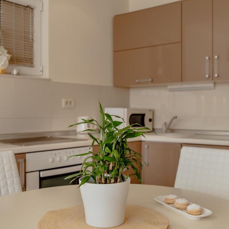 Apartments Porobic - Two-Bedroom Apartment - 11