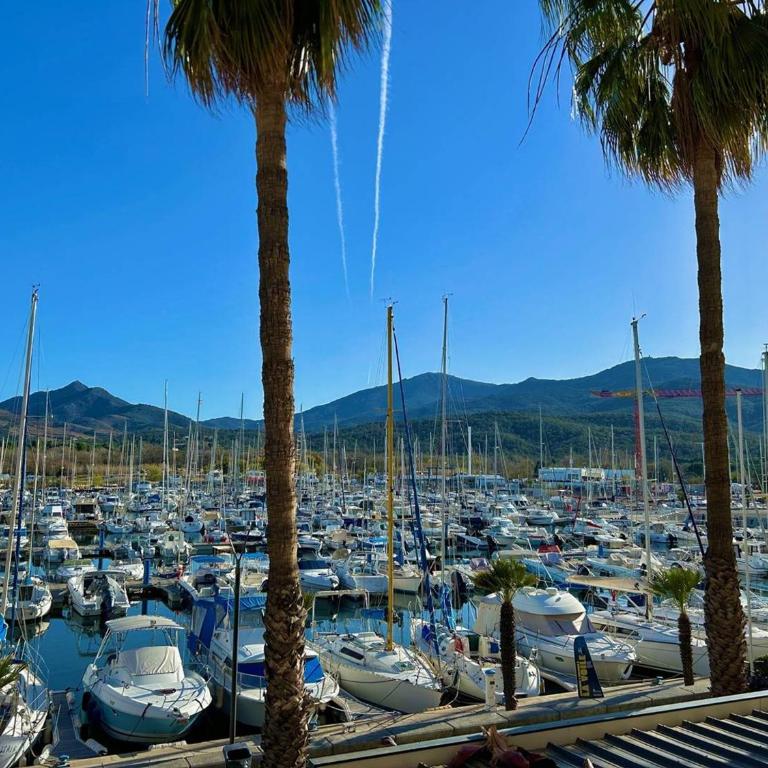 T2 cabine 4 pers. près plage, parking, vue port - Argelès - FR-1-388-90 - Appartement (6 Adultes) - 8