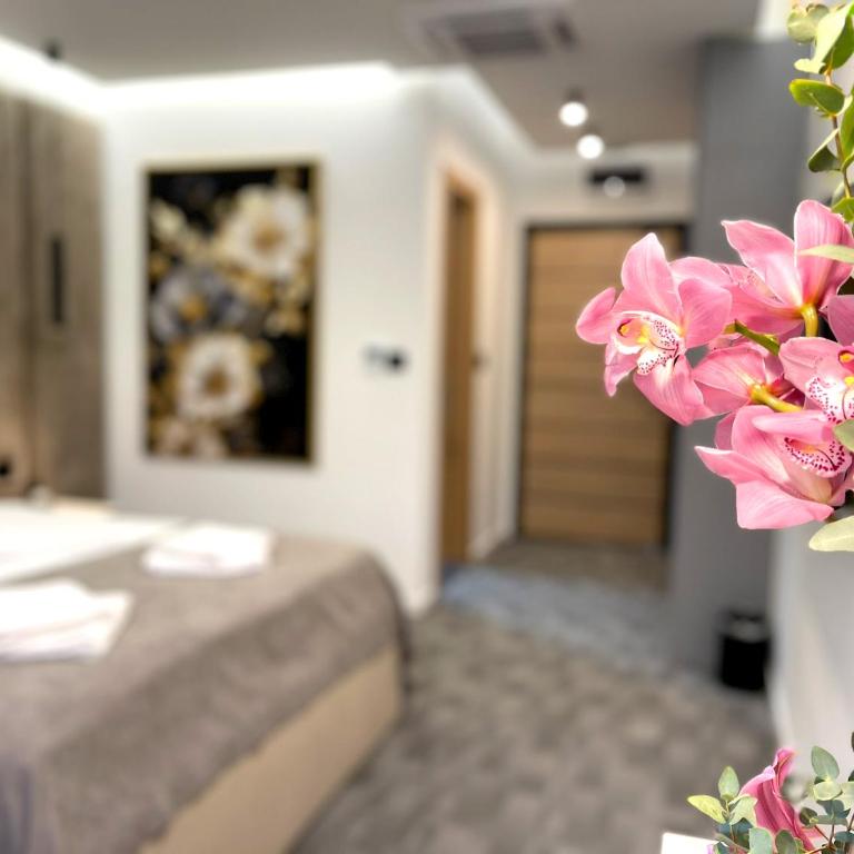 Hotel NPL CODE - Deluks Dvokrevetna Soba sa Bračnim Krevetom - 28