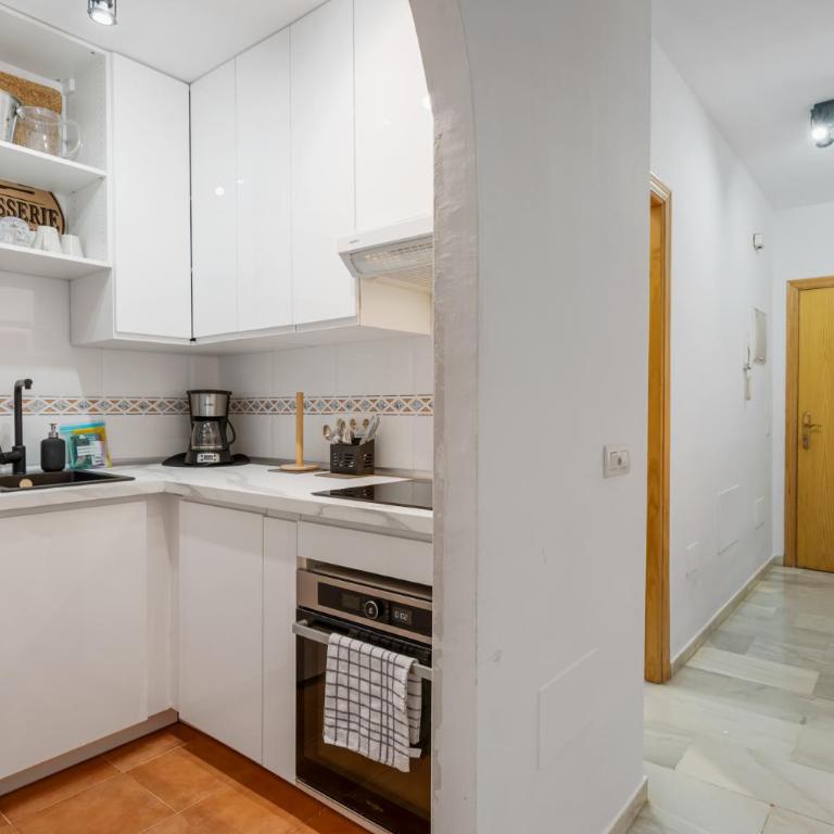 Apartment in Fuengirola by Costarentals - Ref 227 - Estudio - 12
