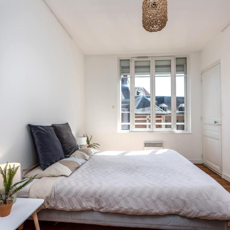 Le Jacobin / 1 Chambre - Netflix - Hyper centre - Appartement 1 Chambre - 16