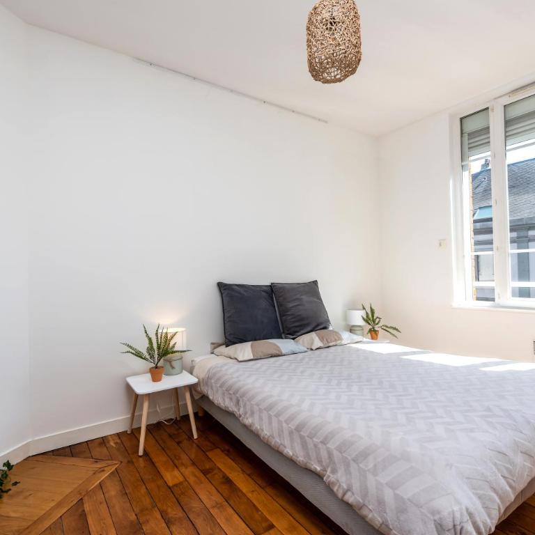 Le Jacobin / 1 Chambre - Netflix - Hyper centre - Appartement 1 Chambre - 15