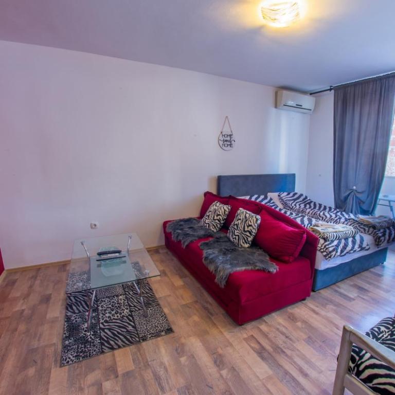Studio Apartment Zebra - Studio Apartment - 1