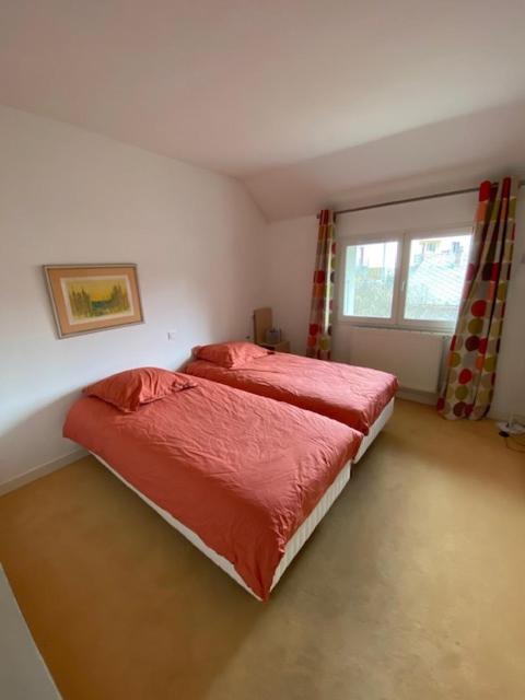 Villa Meyronnes 3 chambres vue degagée montagnes - Apartment mit Blick auf die Berge - 14