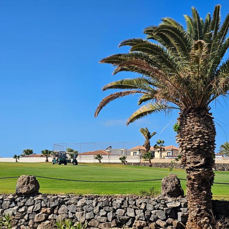 NEW STUNNING GOLF VIEW & POOL , South Tenerife - Apartamento de 1 dormitorio - 6