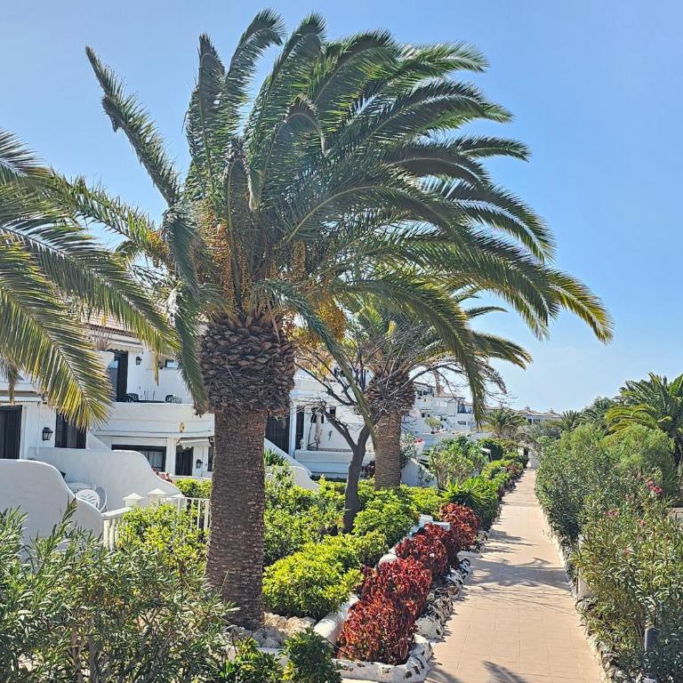 NEW STUNNING GOLF VIEW & POOL , South Tenerife - Apartamento de 1 dormitorio - 20