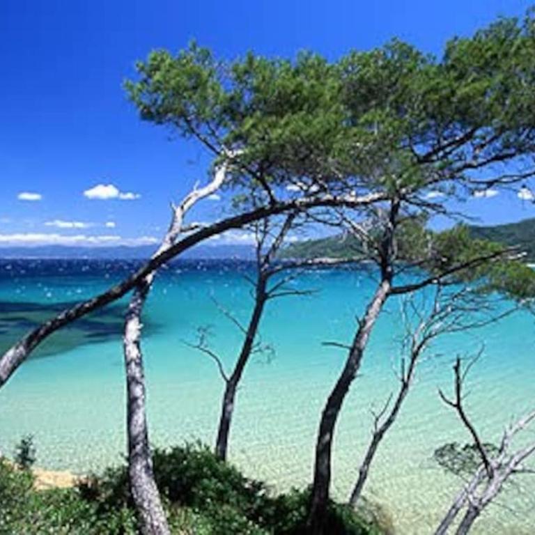 Villa Saint-Côme, du grand luxe à 1 min de la mer - Villa - 17