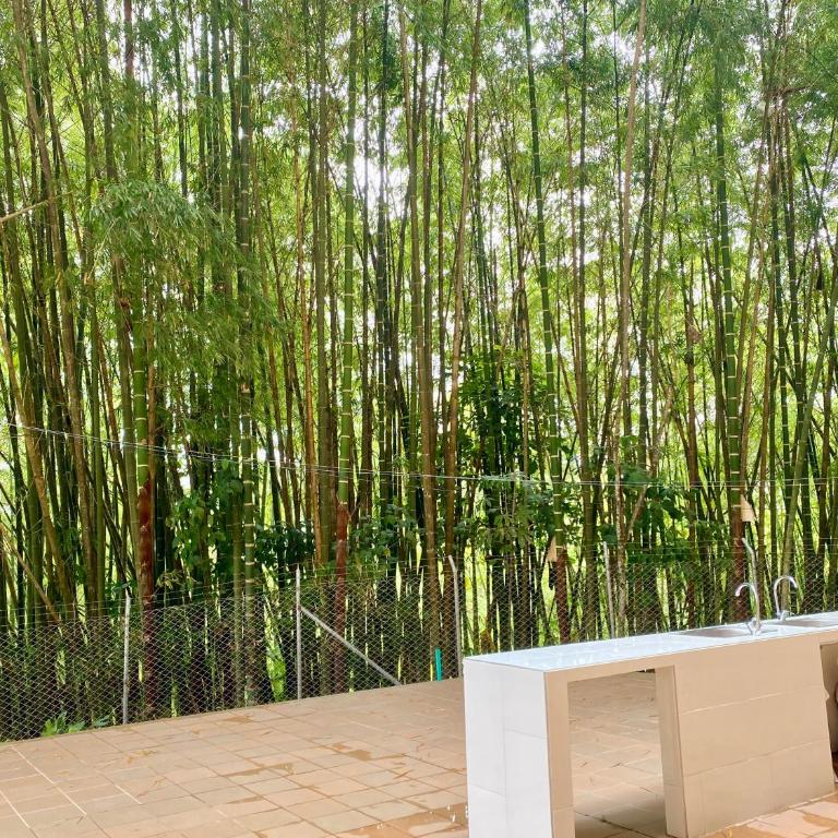 Hermoso Apartamento en el Quindío - Apartamento de 2 dormitorios - 35