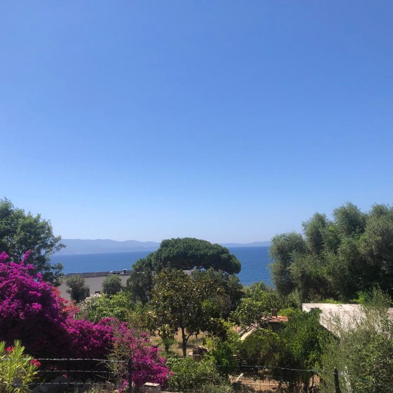 Ajaccio appartement 4 couchages, climatisé a 150m de la plage route des sanguinaires, parking privé - Apartment mit 2 Schlafzimmern - 27