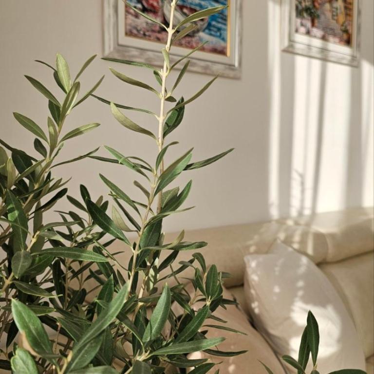 Monte View Apartments - Apartman sa 2 Spavaće Sobe - 33