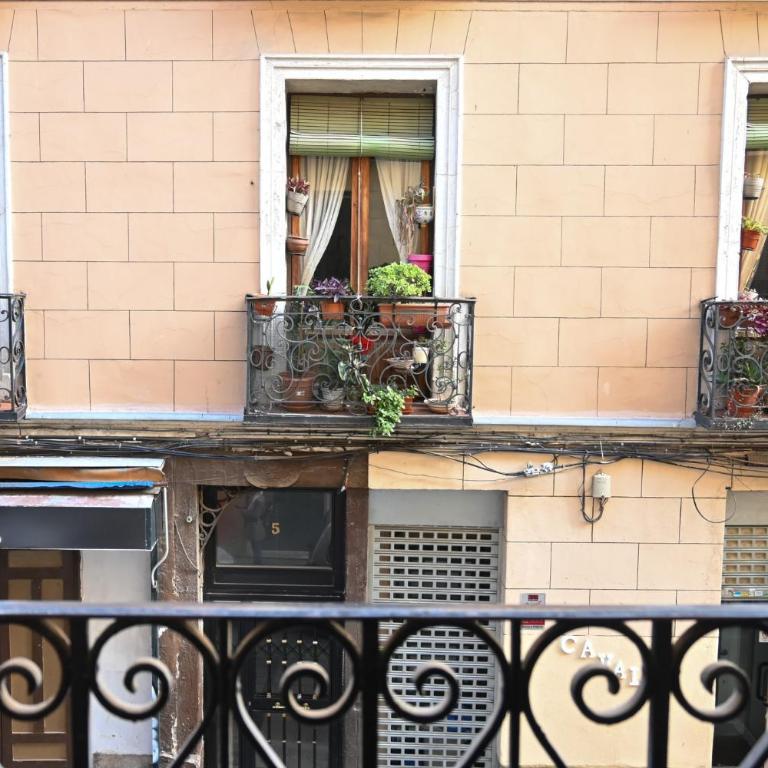 For You Rentals Apartment TEMPORAL Madrid Paloma-La Latina PAL41 - Apartamento de 3 dormitorios - 27