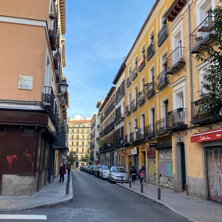 For You Rentals Apartment TEMPORAL Madrid Paloma-La Latina PAL41 - Apartamento de 3 dormitorios - 41