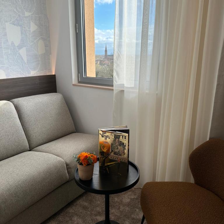 Dali Hôtel Montauban - Chambre Double ou Lits Jumeaux Privilège avec Canapé - 5